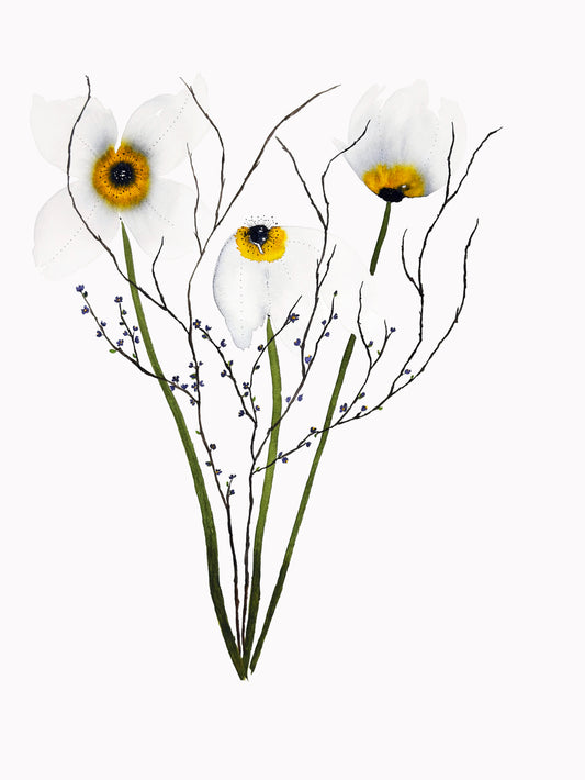 Late Summer Wild