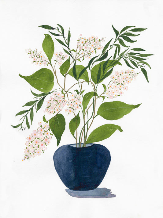 Constant Bloom