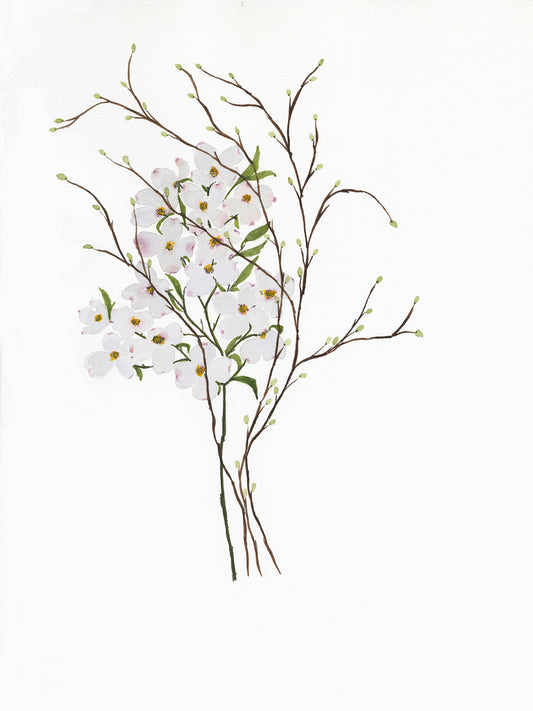 Dogwood and Bud Branches